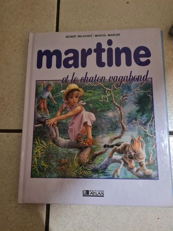 Livre Martine et le chaton vagabond
