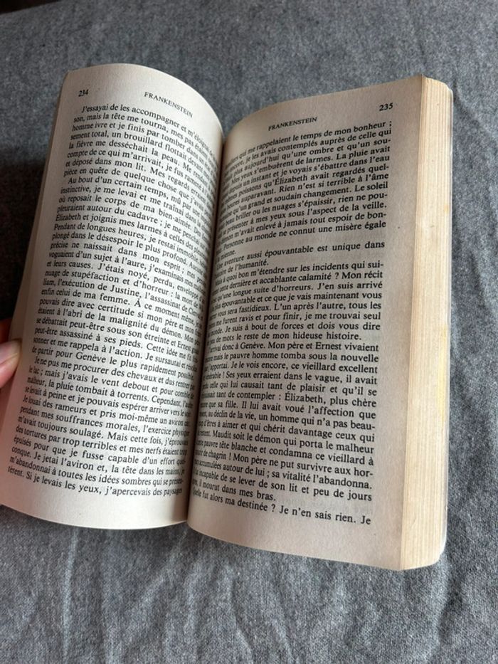 Livre de poche (frankenstein) - photo numéro 3