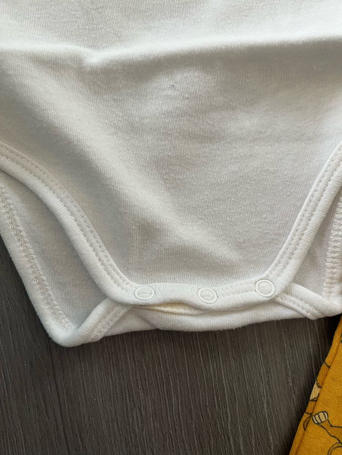 Ensemble Le Roi Lion - photo numéro 3