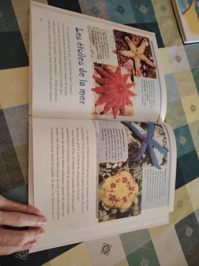 Livre Disney - photo numéro 15
