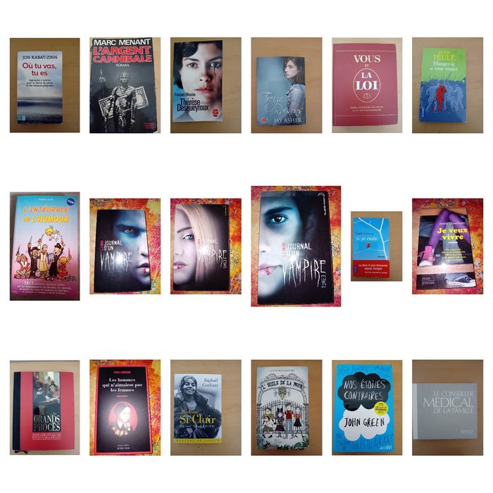 Plus de 200 livres - photo numéro 3