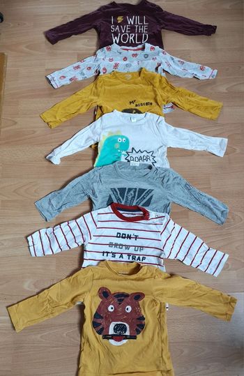 Lot 6 Tee-shirts manches longues 18 mois ours dino