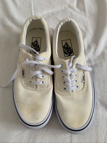 Basket Vans