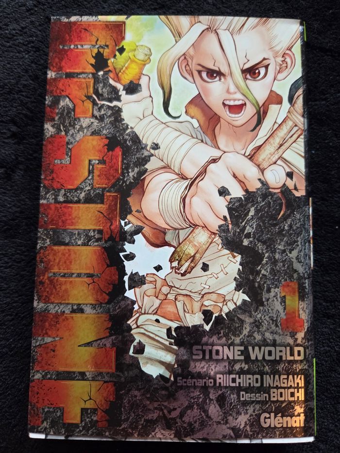 Manda Dr Stone.SF - photo numéro 2