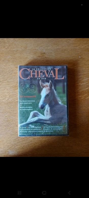 DVD
