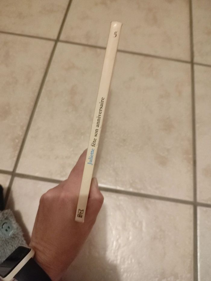 Livre Juliette fête son anniversaire - photo numéro 2