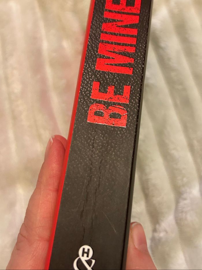 Be mine - photo numéro 4