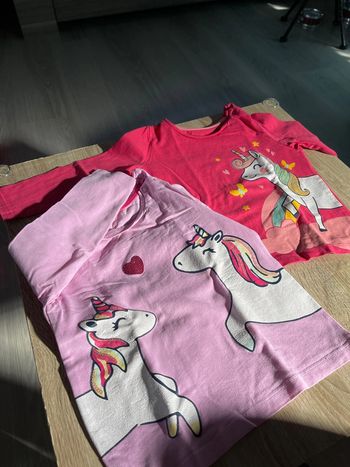 TEE shirt licorne
