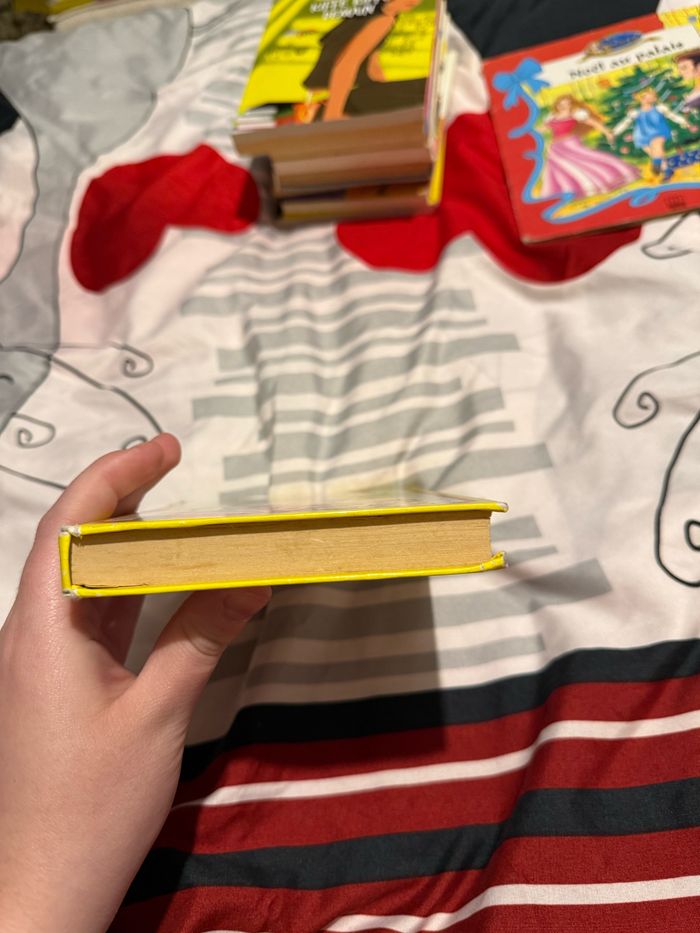 Les vacances d’Isabelle- Véronique Day - photo numéro 6