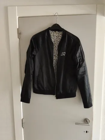 Veste ikks