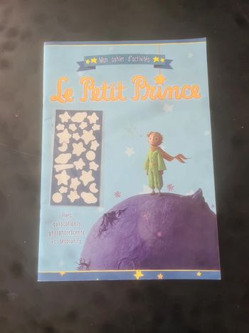 Mon cahier d'activité le petit prince