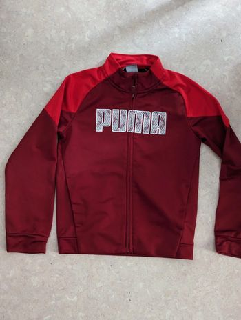 Veste de survêtement puma