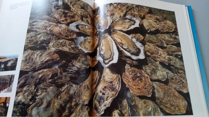 Fou de Bassin d'Arcachon - photo numéro 9