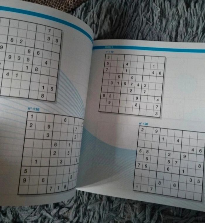 Livre de jeu Sudoku (chevronné) niveau 5-6 (170grilles) - photo numéro 2