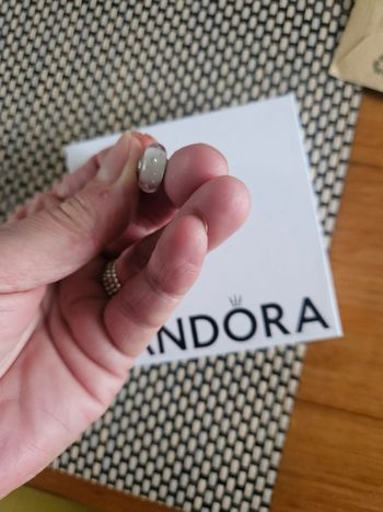Charms pandora