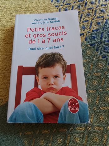 Livre Petits tracas et gros soucis de 1 à 7 ans