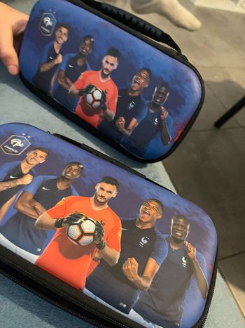 Pochette Nintendo ds fff
