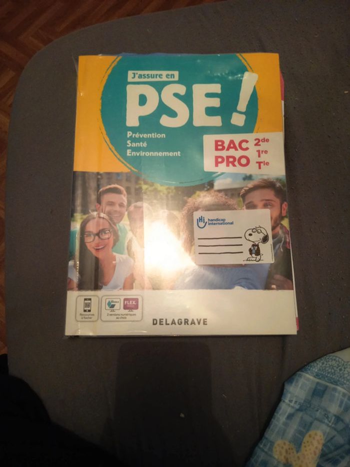 Bac pro pse