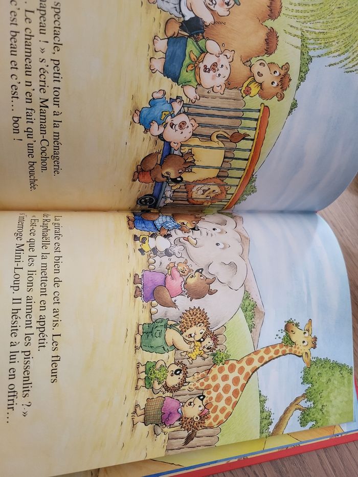 Livre Mini loup - photo numéro 3