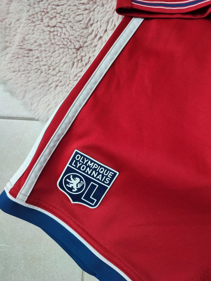 Ensemble olympique lyonnais 2013-2014 - photo numéro 3
