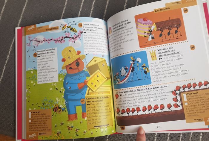 Mon premier Larousse " Pourquoi ?" - photo numéro 3