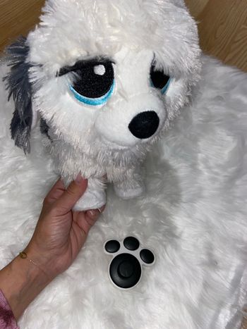 Chien interactif