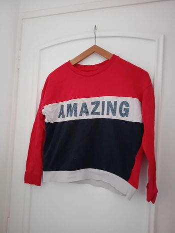 Sweat tricolore amazing à paillettes fille 12 ans gemo