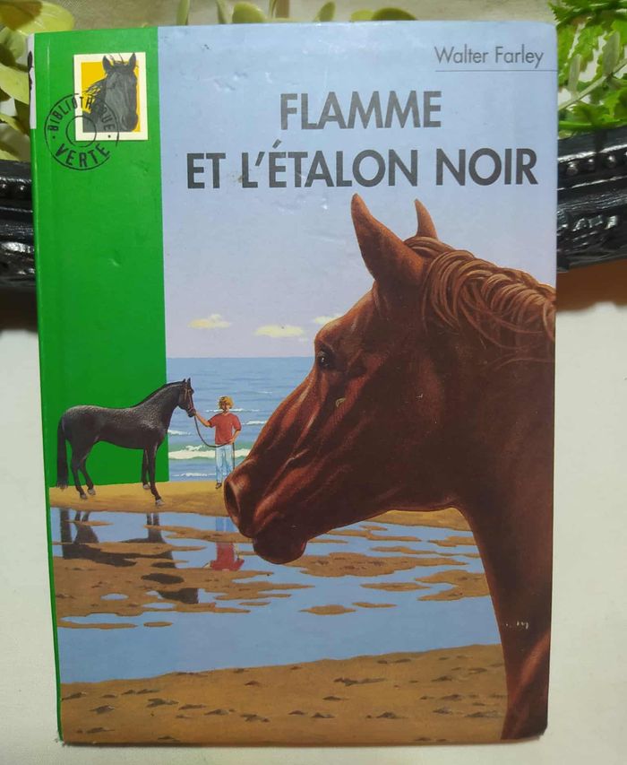 Flamme et l'étalon noir