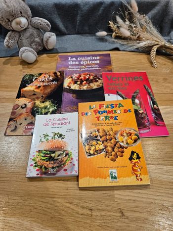 Lot de 5 petits livres de recettes
