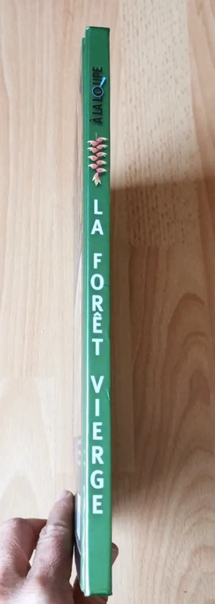 Livre encyclopédie La forêt vierge, à la loupe - photo numéro 2
