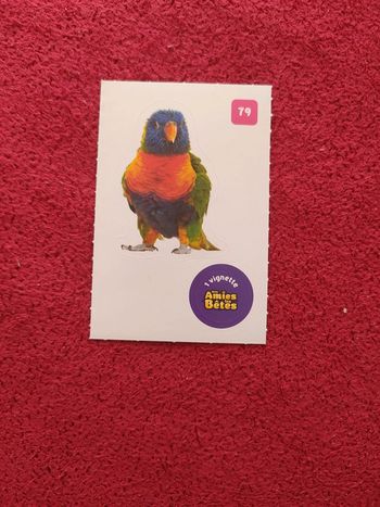 Carte nos amies les bêtes