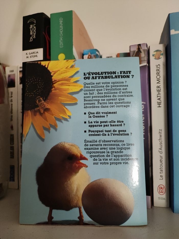 Titre : La vie : comment est-elle apparue ? - photo numéro 2