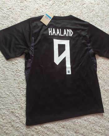 Maillot Norvège Haaland 