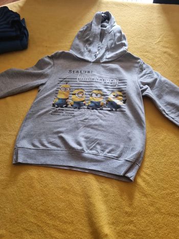 Pull a capuche mionion