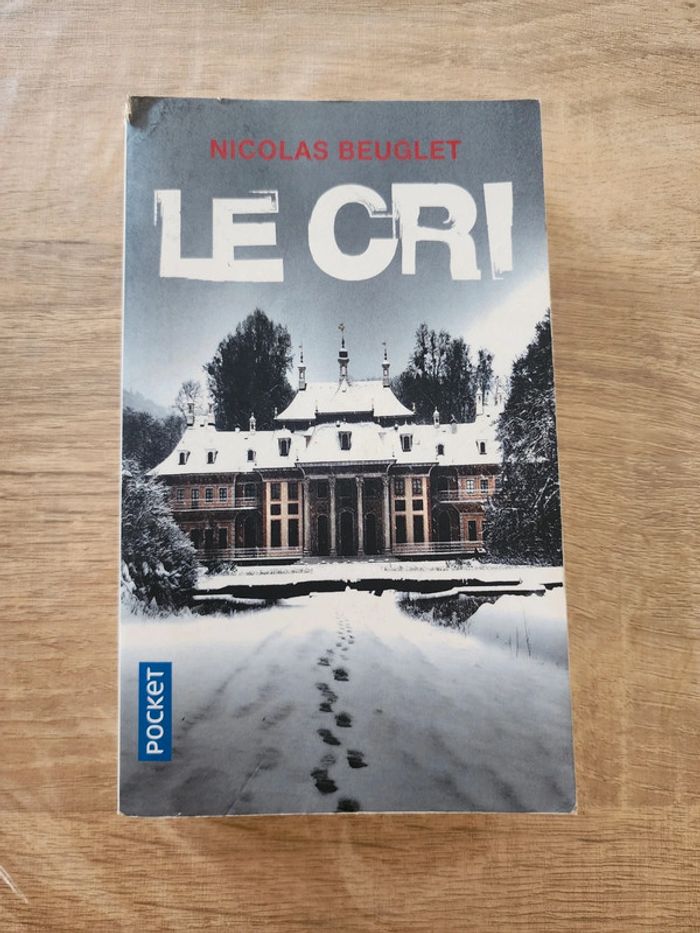 Livre de poche "le cri" de Nicolas Beuglet