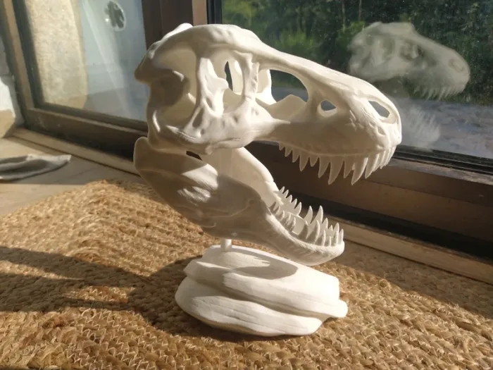 Crâne de T-Rex tyrannosaure Jurassic park - photo numéro 10