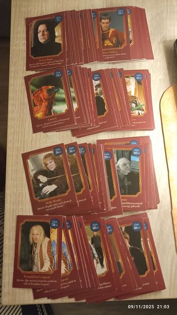 Cartes Harry Potter Auchan