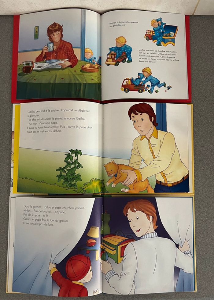 Lot de 6 livres collection Caillou Édition Chouette - photo numéro 6