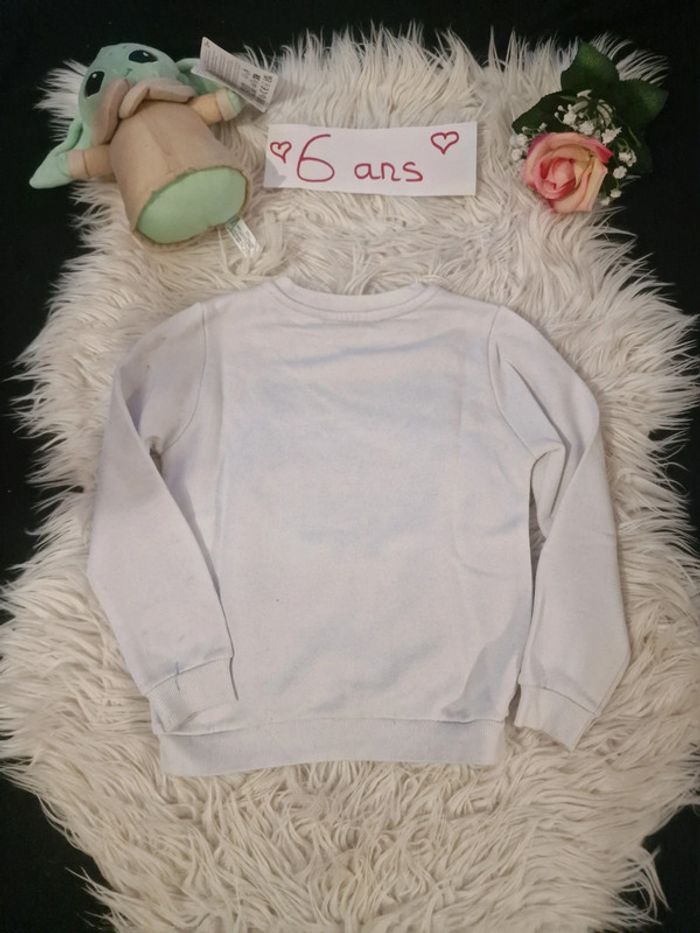 Pull tigre - photo numéro 3