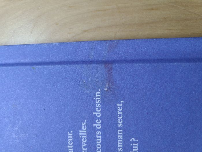 A vos pinceaux aldebert - photo numéro 3