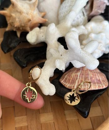 Boucles d’oreilles étoile doré en acier inoxydable