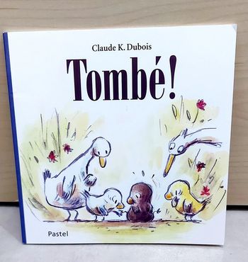 🌺 Livre (école des loisirs) : Tombé