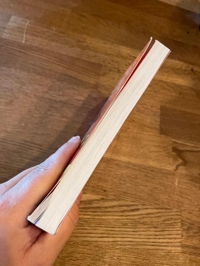 Livre Le carnet d’Allie La sortie - photo numéro 5