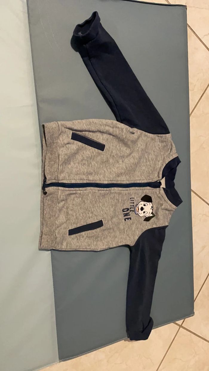 Ensemble Dalmatien 12 mois - photo numéro 3