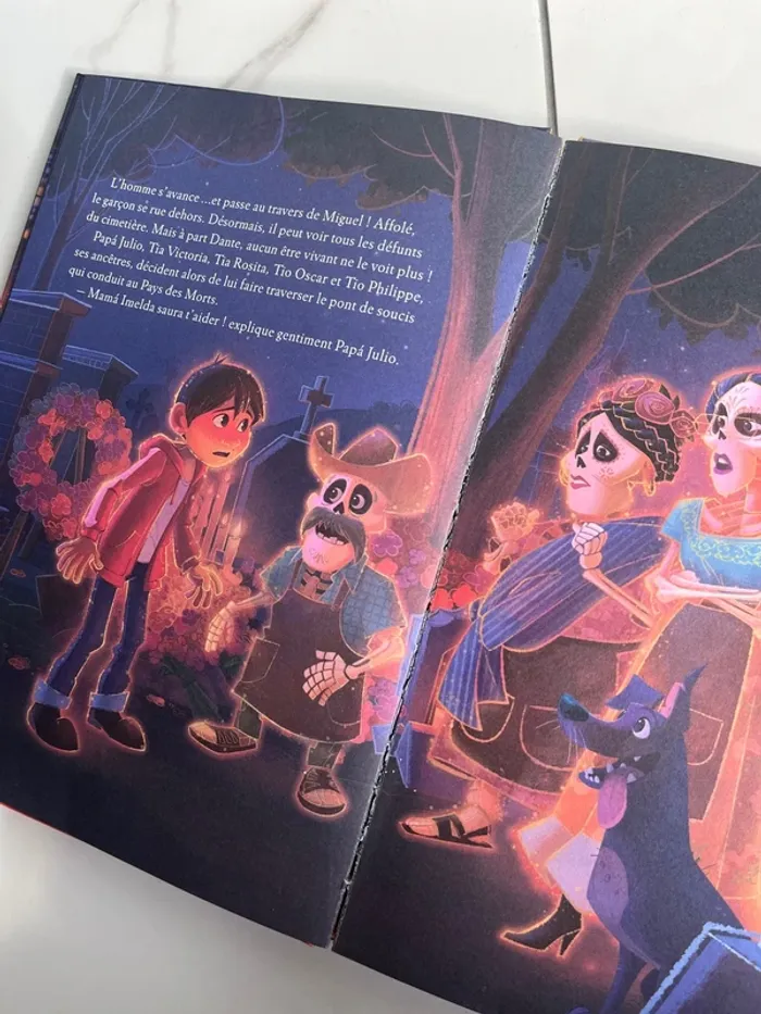 Livre coco pixar - photo numéro 6