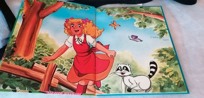 Livre Candy Candy numéro 5 - photo numéro 2