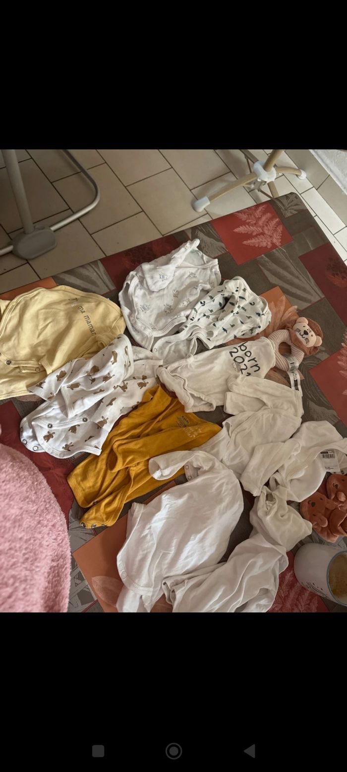 Lot bodies