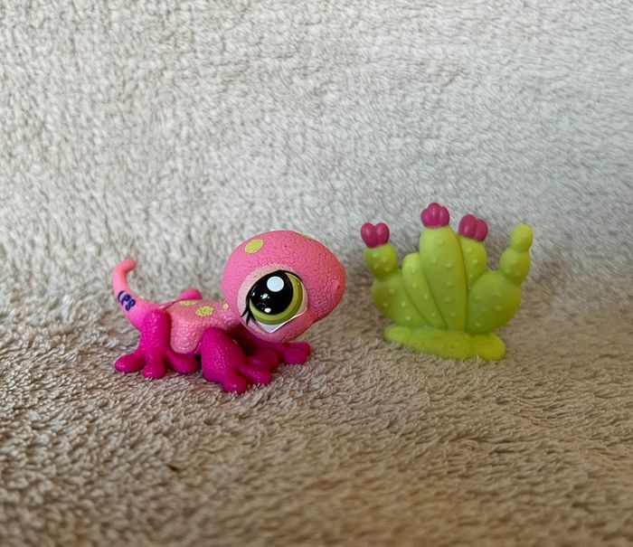 Petshop - photo numéro 2