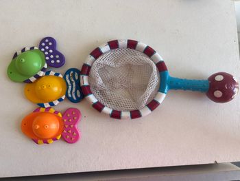 épuisette et poisson