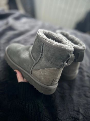 Ugg grise
